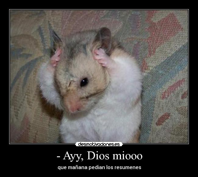 - Ayy, Dios miooo - que mañana pedian los resumenes