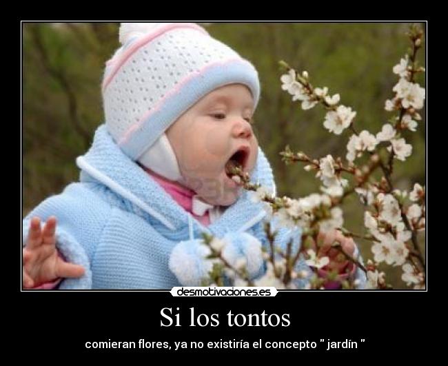Si los tontos - comieran flores, ya no existiría el concepto  jardín 