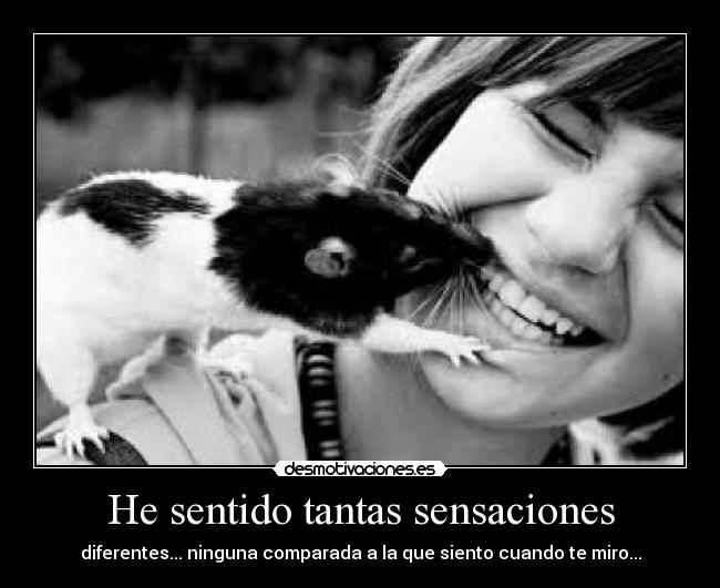 He sentido tantas sensaciones -