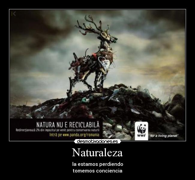 carteles naturaleza naturaleza desmotivaciones