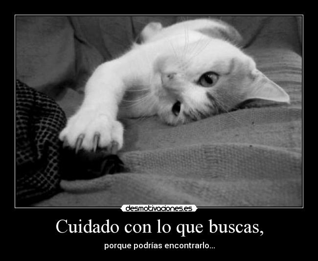 Cuidado con lo que buscas, -