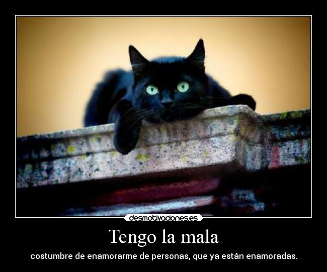 Tengo la mala - costumbre de enamorarme de personas, que ya están enamoradas.
