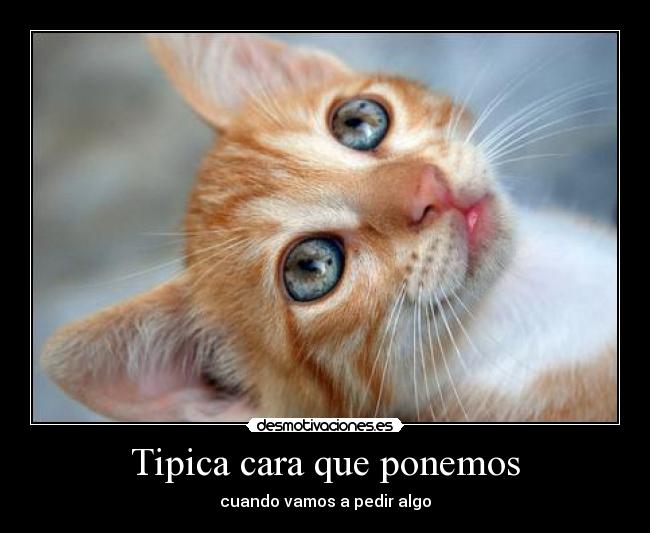 Tipica cara que ponemos - cuando vamos a pedir algo