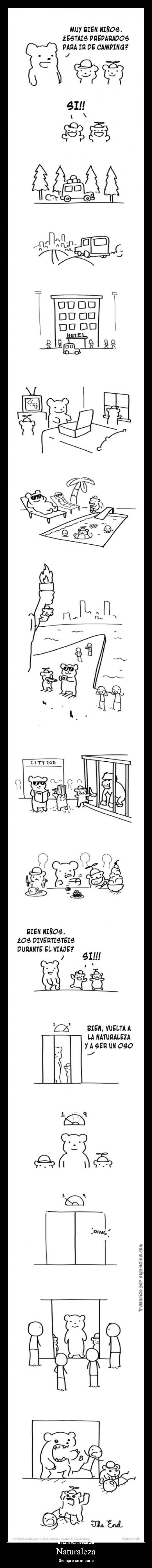 Naturaleza - Siempre se impone