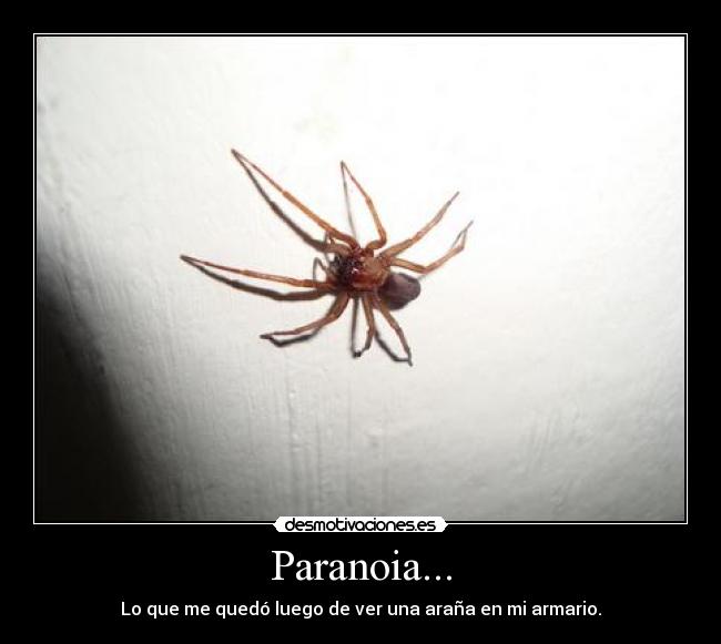 Paranoia... -