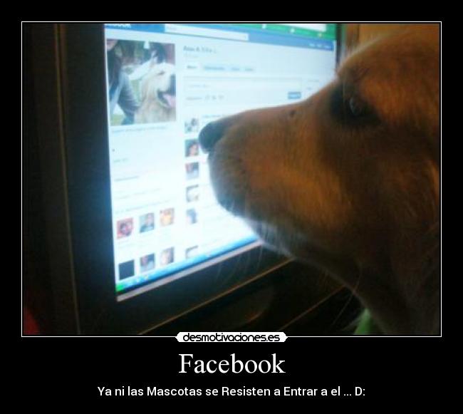 Facebook -