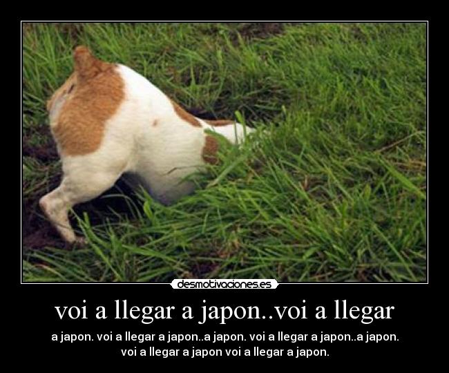 voi a llegar a japon..voi a llegar - 