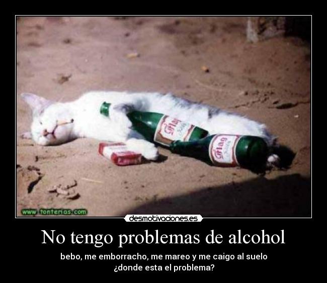 carteles problemas gatitos borrachos desmotivaciones