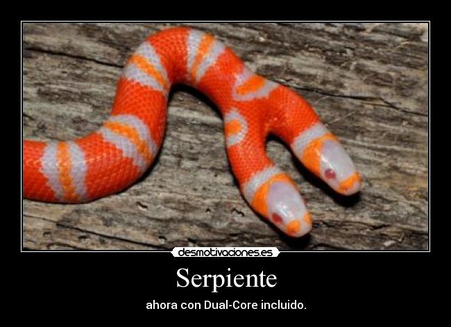 Serpiente - ahora con Dual-Core incluido.