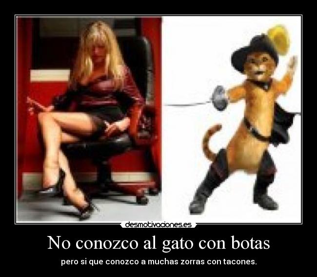 No conozco al gato con botas -