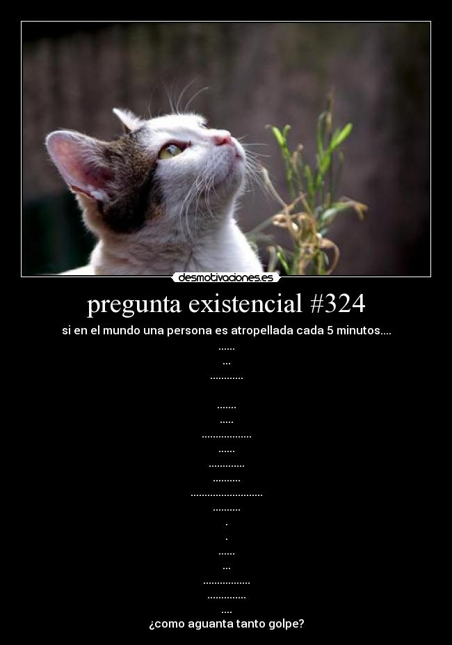 pregunta existencial #324 - si en el mundo una persona es atropellada cada 5 minutos....
......
...
............

.......
.....
..................
......
.............
..........
..........................
..........
.
.
......
...
.................
..............
....
¿como aguanta tanto golpe?