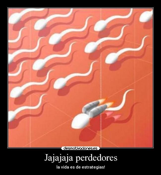 Jajajaja perdedores - 