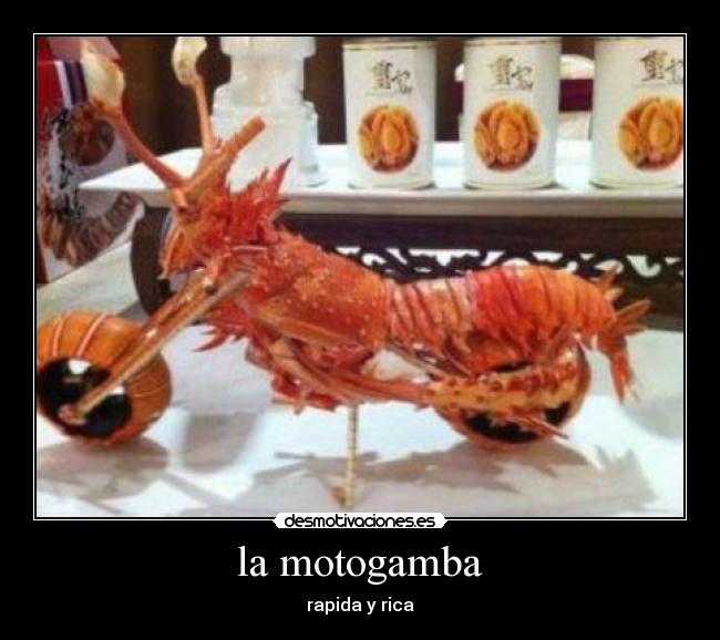 la motogamba - rapida y rica
