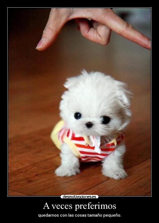 carteles eaeaeaea desmotivaciones