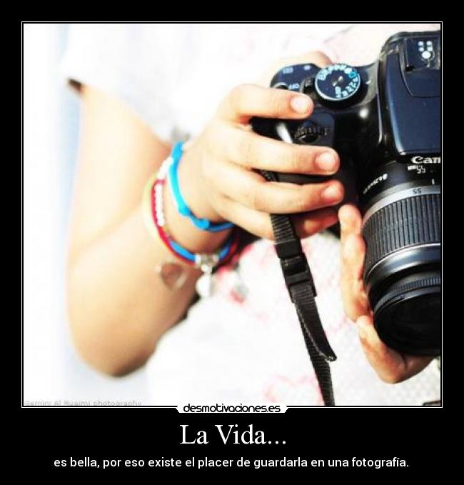 carteles vida vida desmotivaciones