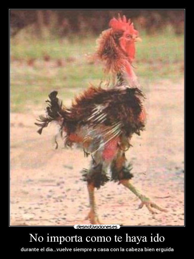 No importa como te haya ido - durante el dia...vuelve siempre a casa con la cabeza bien erguida