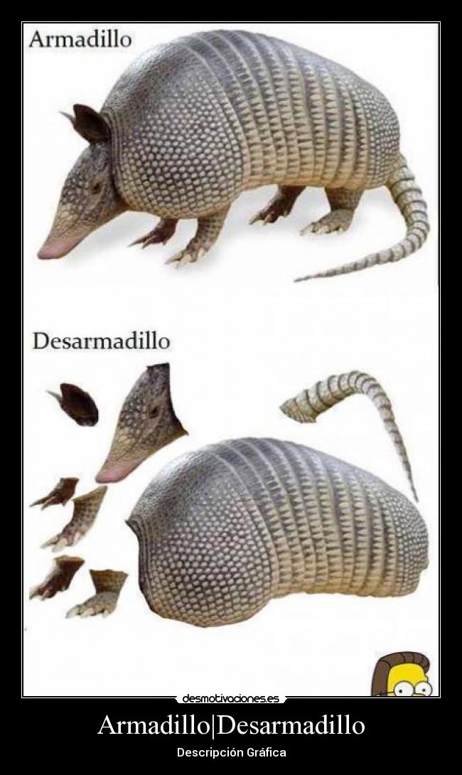 Armadillo|Desarmadillo - Descripción Gráfica