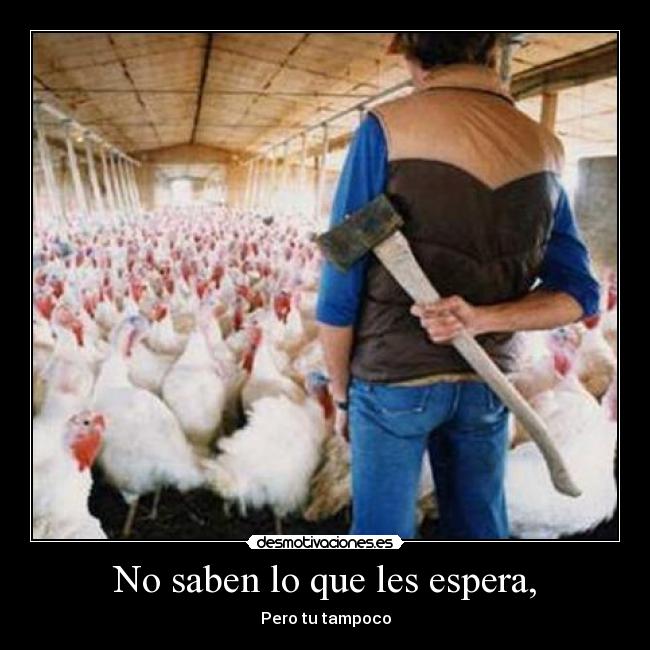 No saben lo que les espera, -