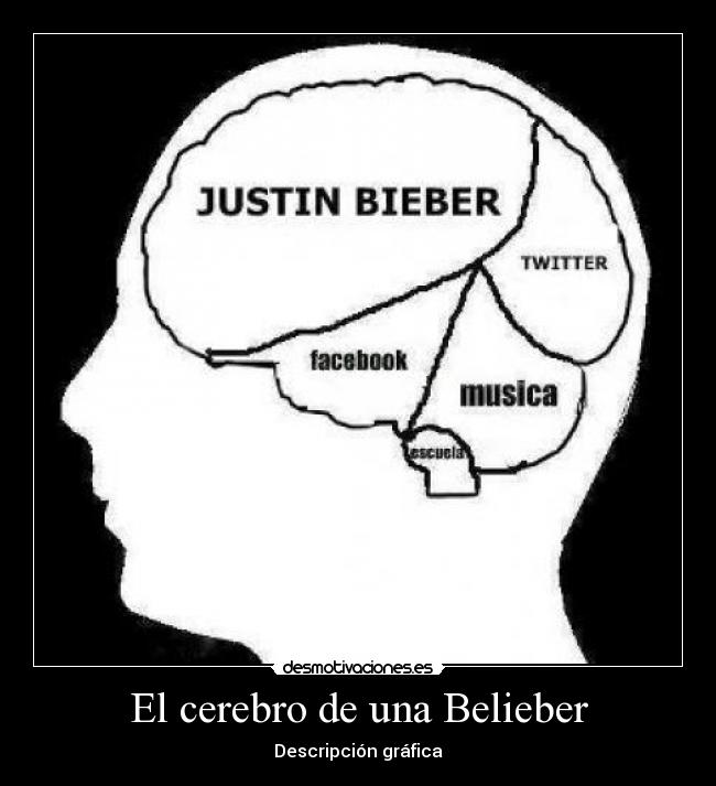El cerebro de una Belieber - Descripción gráfica