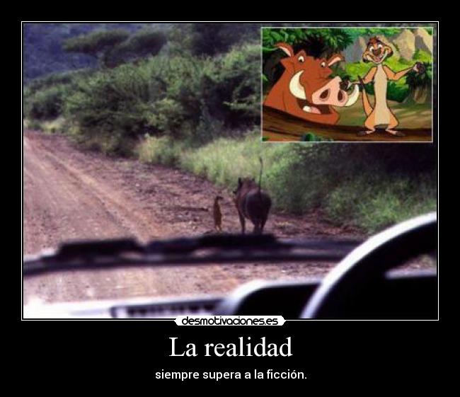 La realidad - 