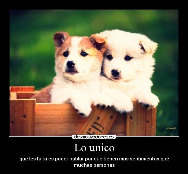 Lo unico - 