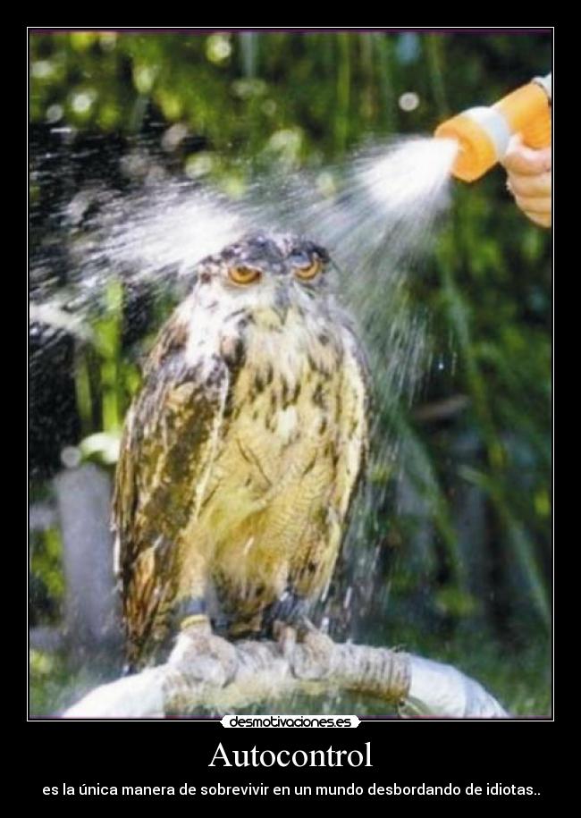 Autocontrol - es la única manera de sobrevivir en un mundo desbordando de idiotas..