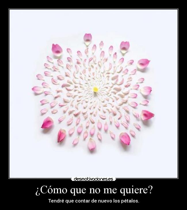 ¿Cómo que no me quiere? - Tendré que contar de nuevo los pétalos.