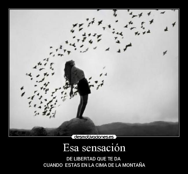Esa sensación - DE LIBERTAD QUE TE DA
CUANDO ESTAS EN LA CIMA DE LA MONTAÑA