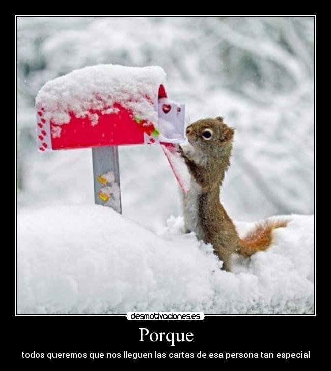 Porque -