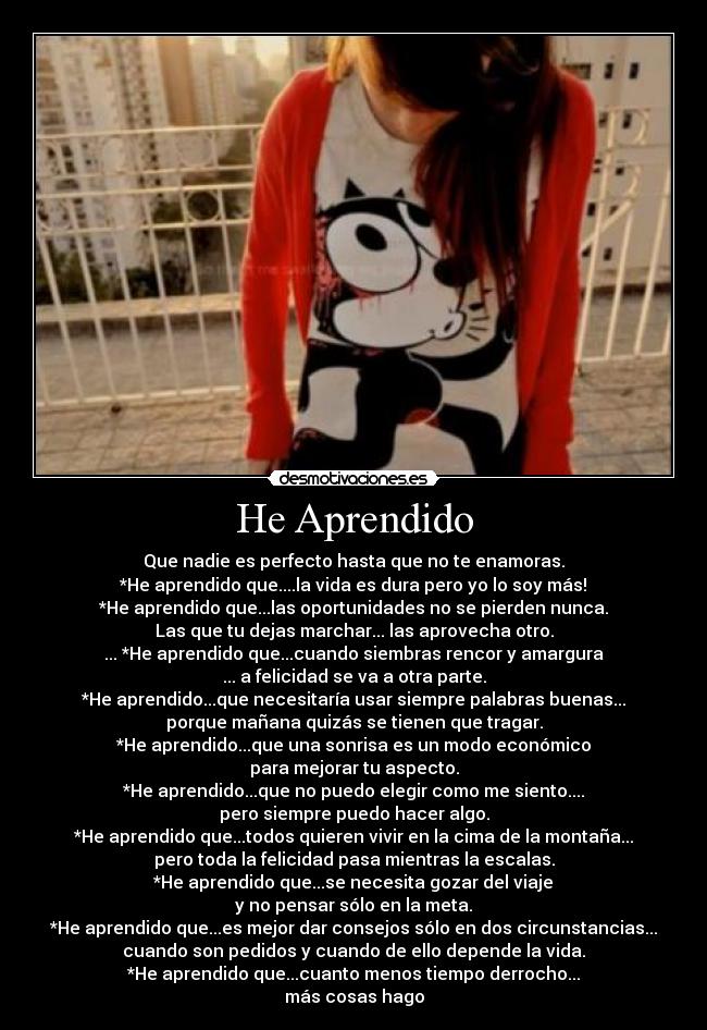 carteles aprendido desmotivaciones