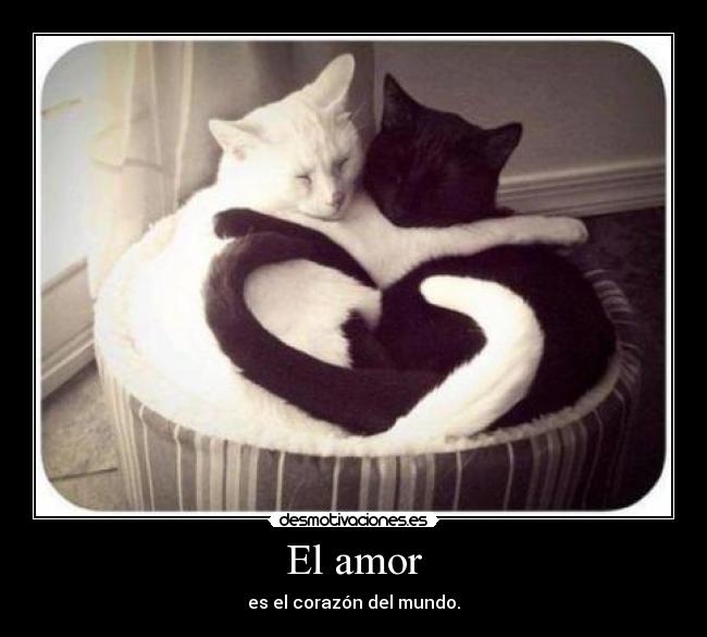 El amor - es el corazón del mundo.