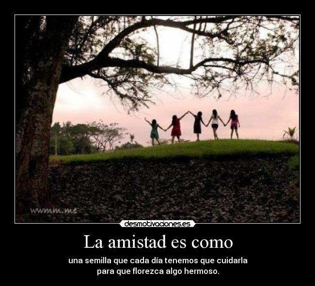 La amistad es como -