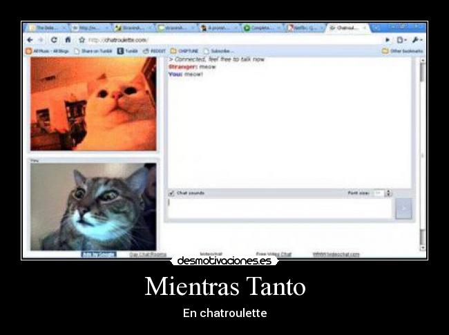 Mientras Tanto - En chatroulette