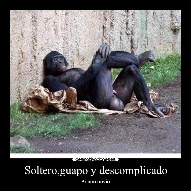 Soltero,guapo y descomplicado -