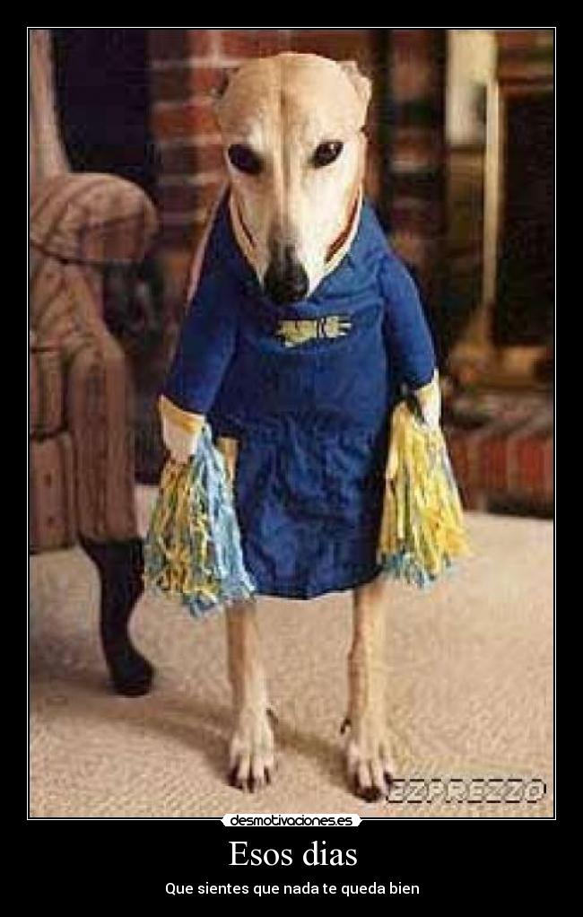 Esos dias - 