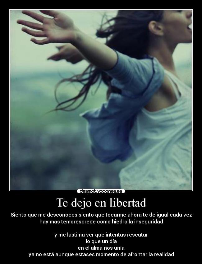 Te dejo en libertad - Siento que me desconoces siento que tocarme ahora te de igual cada vez
hay más temorescrece como hiedra la inseguridad

y me lastima ver que intentas rescatar
lo que un día
en el alma nos unía
ya no está aunque estases momento de afrontar la realidad