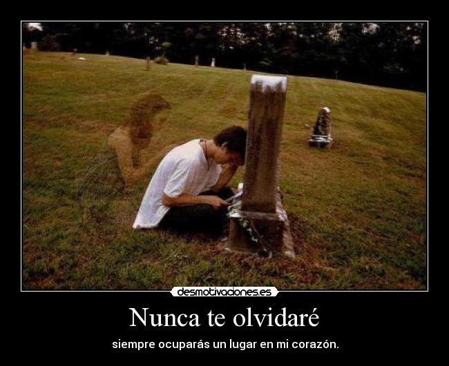 Imagenes De Amistad Nunca Te Olvidare | nunca te olvidar 233 desmotivaciones Imagenes De Amistad Nunca Te Olvidare | nunca te olvidar 233 desmotivaciones