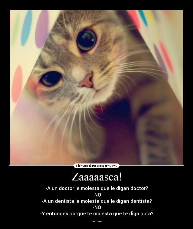 Zaaaaasca! -