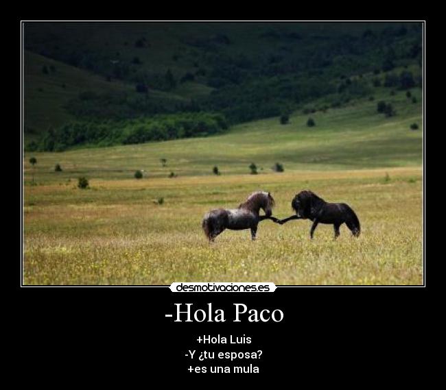 -Hola Paco - +Hola Luis
-Y ¿tu esposa?
+es una mula