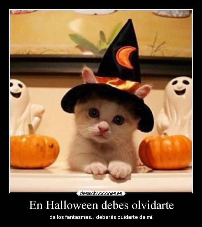 En Halloween debes olvidarte - 