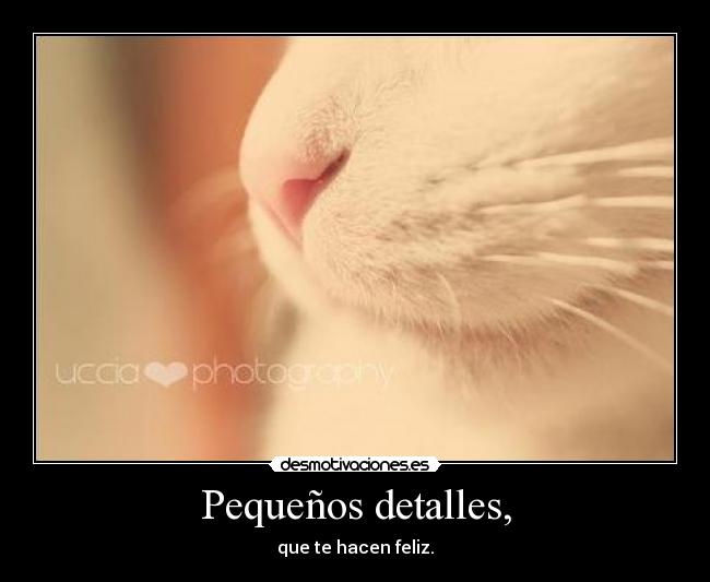 Pequeños detalles, - 