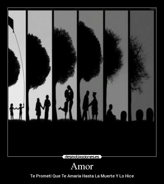Amor -