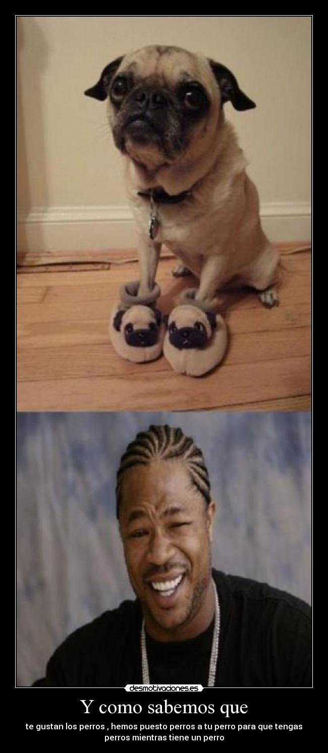 Y como sabemos que - te gustan los perros , hemos puesto perros a tu perro para que tengas
perros mientras tiene un perro
