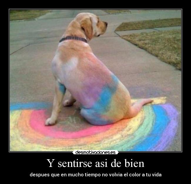 carteles renacido las cenisas desmotivaciones