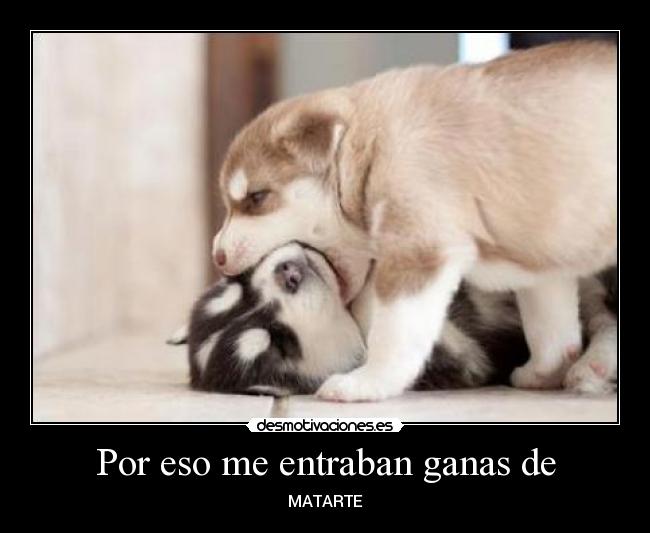 carteles nomeamenacen desmotivaciones