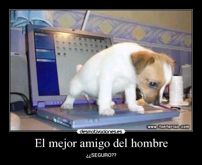 El mejor amigo del hombre -
