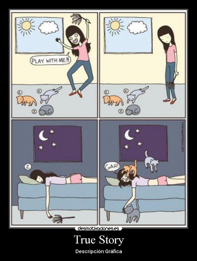 True Story - Descripción Gráfica