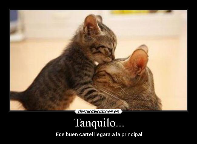 Tanquilo... - 