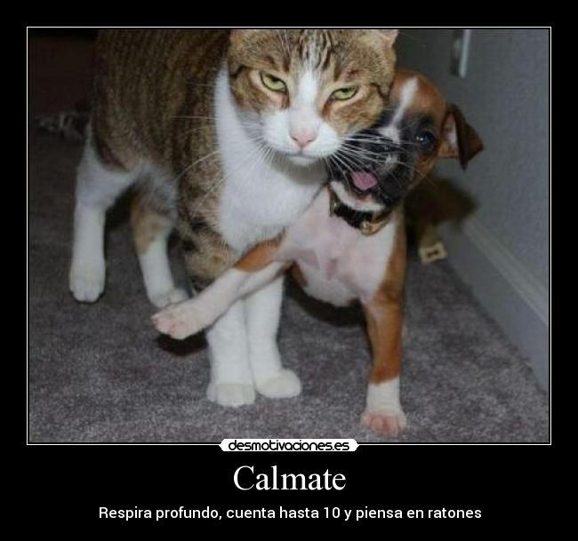 Calmate -