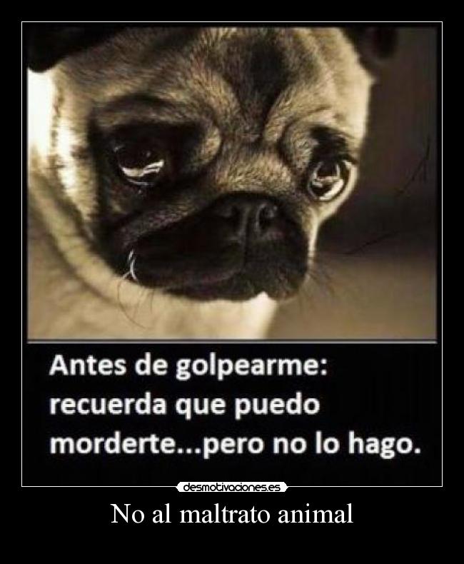 No al maltrato animal - 